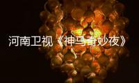河南卫视《神马奇妙夜》播出时间 几月几日几点播出