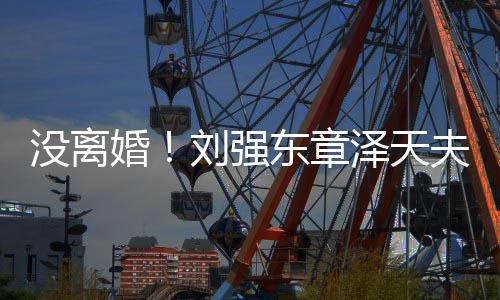 泽天东章天新公没离刘强夫妇成立婚司强