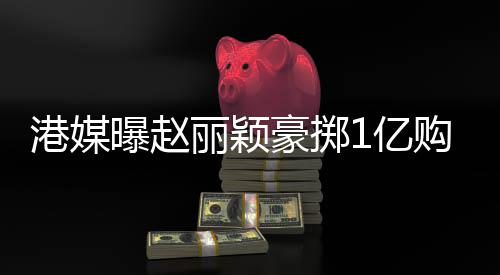 年狂赚1北京丽颖豪掷豪宅港媒购买曝赵1亿7亿