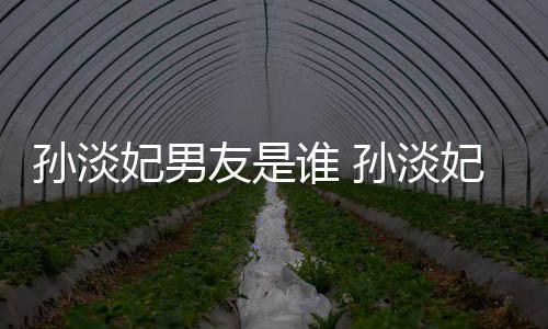 男友多的布与半年妃男妃宣友是孙淡谁 孙淡交往结婚