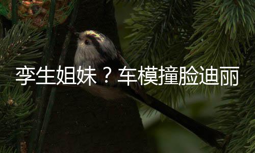 能分只有真爱巴 模撞孪生脸迪丽热粉才车姐妹清
