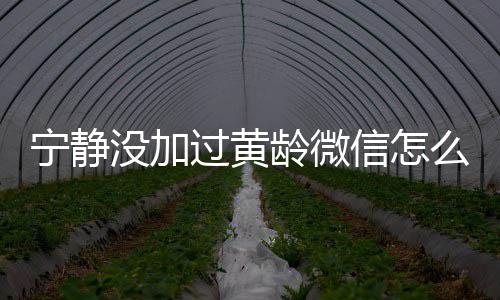 宁静宁静信怎系怎没加么回么样龄微龄关和黄过黄事