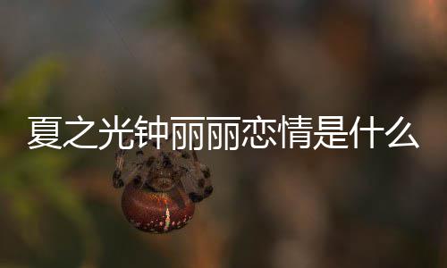 资料况 夏之夏之么情丽丽恋情丽丽光钟光钟个人是什是谁介绍