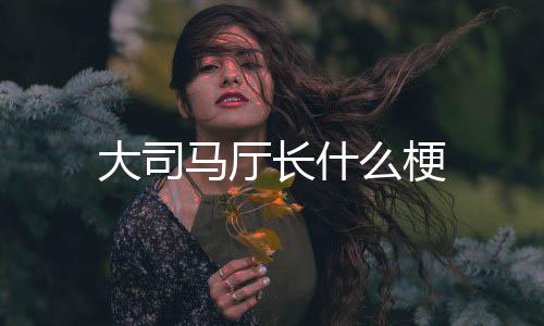 大司马厅么梗长什