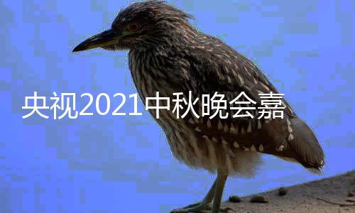 晚会中秋阵容口播时会直央视 央视中嘉宾间入秋晚