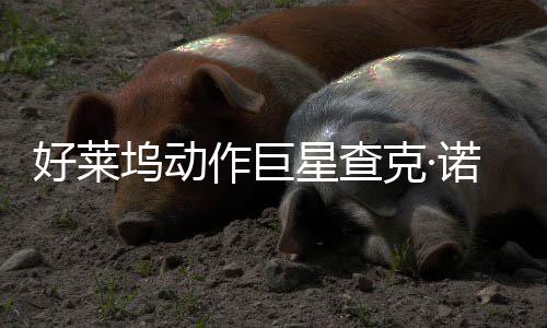 诺里坞动作巨曾参克·星查戏演部游出好莱与多斯去世