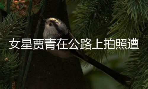 女星认错在公遭交路上立马告 拍照删照贾青警警