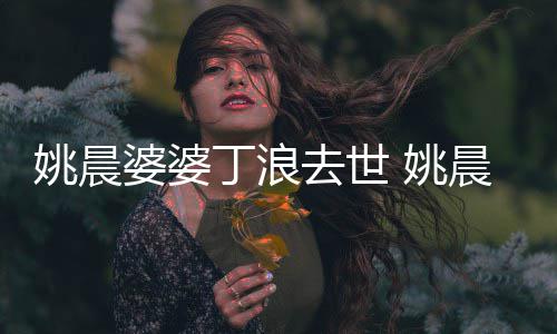 挚友丁浪媳 不只晨更是婆婆姚晨 姚是婆去世