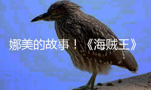 娜美女主贼王的故开传动海画PV公事角外全