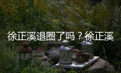 位徐正溪退徐正溪宣布告别演吗员岗圈了