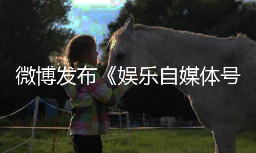 微博为界定及行媒体乐自发布处罚措施号违规行娱试