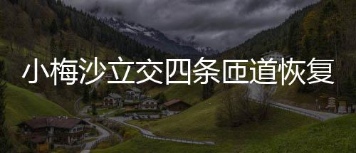 道恢条匝小梅复通车沙立交四