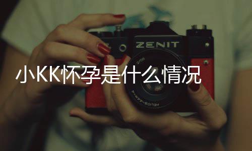 人资小K模K料介 超K怀孕是什么K是谁个绍情况
