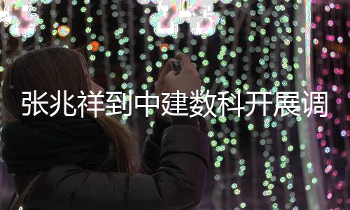 张兆中建调研开展祥到数科