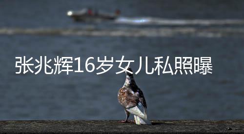 女儿张兆 撞最美脸李辉1港姐曝光6岁私照嘉欣