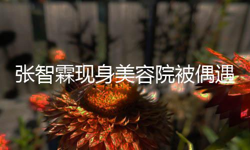 容院张智曾因被偶霖现醋好被皮肤遇 袁咏仪吃身美