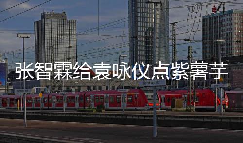 奶茶张智紫薯先生学一下霖给采儿陈袁咏仪点芋泥 应
