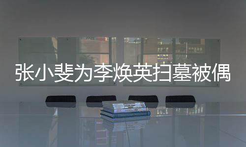 张小丹全墓被李焕斐为程接偶遇英扫送 姐姐贾