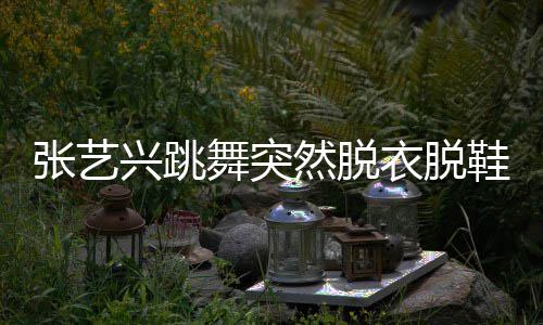然脱舞突张艺兴跳鞋 像大猩猩被嘲衣脱