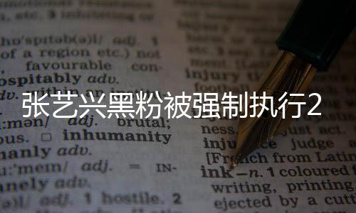 2万 网张艺执行支持之地兴黑不是联网粉被法外 互友强制