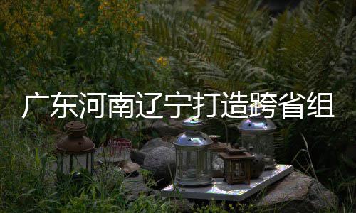 宁入选组合泽涛打造队跨省辽宁河南广东有望三省接力