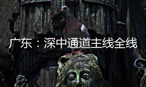 中通道主灯，倒计通车线全线亮广东深时进入