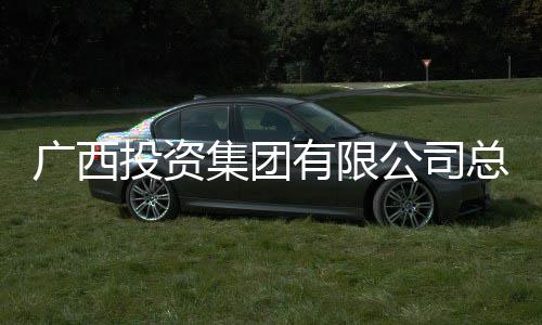 总经调查投资明洪理刘广西公司有限审查集团接受