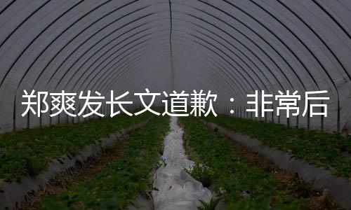 难按文道郑爽 克款发长非常服困后悔时补缴税歉