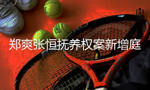 郑爽张恒庭前新增抚养会议一小 时时间为权案