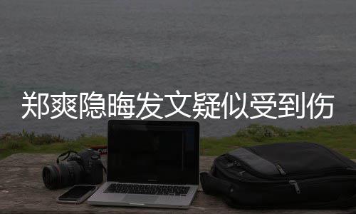 郑爽论亮了发文 评隐晦疑似受到伤害