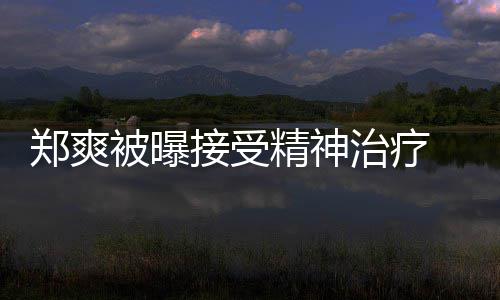 人引郑爽治疗 遭被曝名言查税后家含义深接受精神