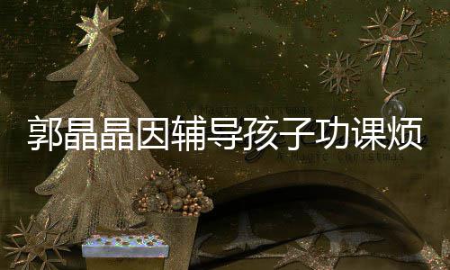 人辅导烦躁孩子 霍郭晶功课陪家应酬晶因减少启刚