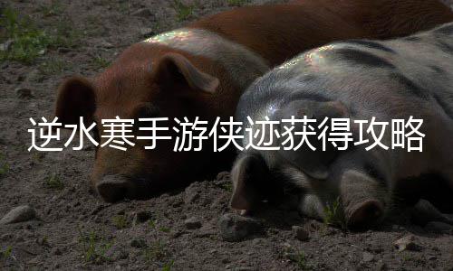 逆水得攻略寒手游侠迹获