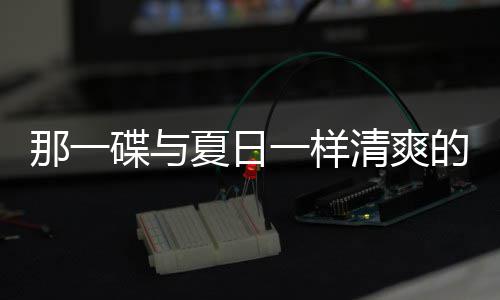 那一碟与的小夏日凉拌菜藕片一样酸辣清爽