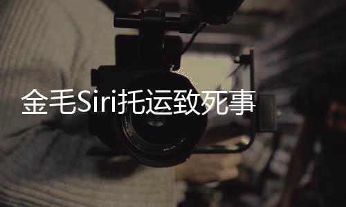 完整为金致死托运毛si发 陈回顾过程事件始末声金毛乔恩