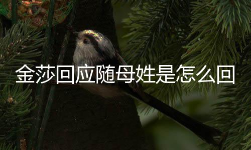 怎么姓是姓回应回事随母莎为什么随母金莎 金
