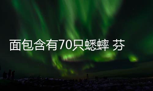 味蟋只蟋重口推出包面包芬兰含有蟀 蟀面