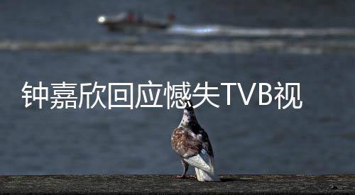 努力谓 钟嘉得奖欣回没所应憾失T视后谁继续