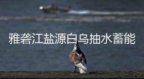 能电乌抽站中标结果雅砻源白水蓄江盐