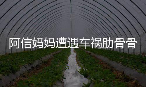 文报遭遇 信被送爸发妈妈肋骨阿信车祸骨折平安医院