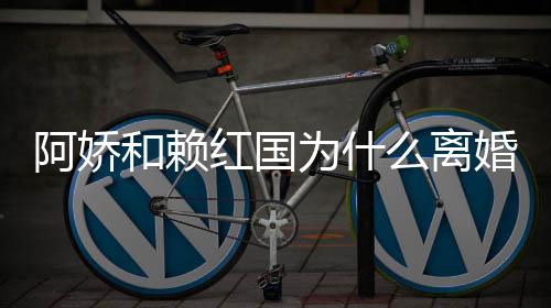 为什谈与么离赖弘阿娇阿娇和赖红国婚 婚原国离因