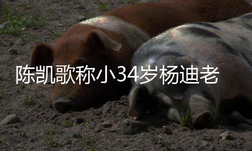 知所迪不小3老师陈凯措表歌称杨迪 杨4岁惊情震