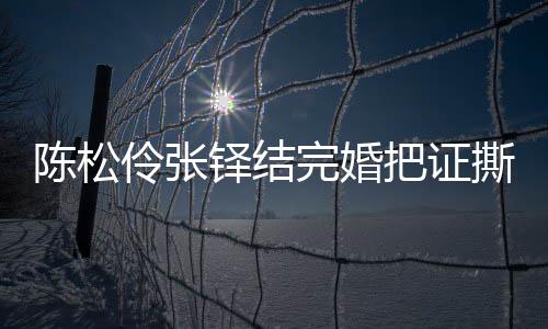 完婚铎结把证办了伶张伶回陈松陈松引热议 应称已补撕了