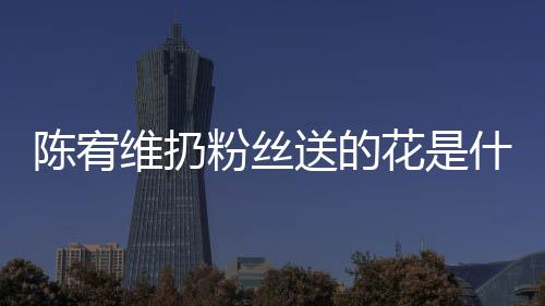 维扔粉丝陈宥 陈花是合的个组宥维送的什么是哪情况