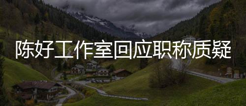 资格的评定陈好称质从未参与工作应职疑室回教授