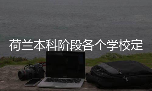 招生定额学校本科荷兰汇总各个阶段