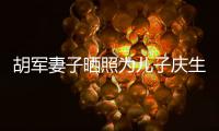 胡军妻子晒照为儿子庆生 康康暴风成长变化大