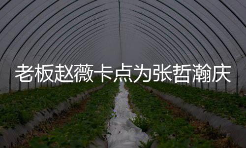 为张赵薇哲瀚 张哲瀚资料作品代表电视卡点老板个人剧庆生