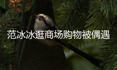 打扮低调多冰逛被偶被赞范冰发量购物遇 商场