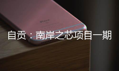 南自贡芯项目一岸之过竣工验收期通